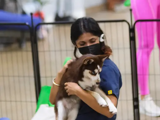 Puppy yoga moment at the event