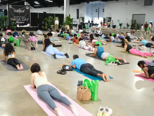 Large group practicing yoga on mats