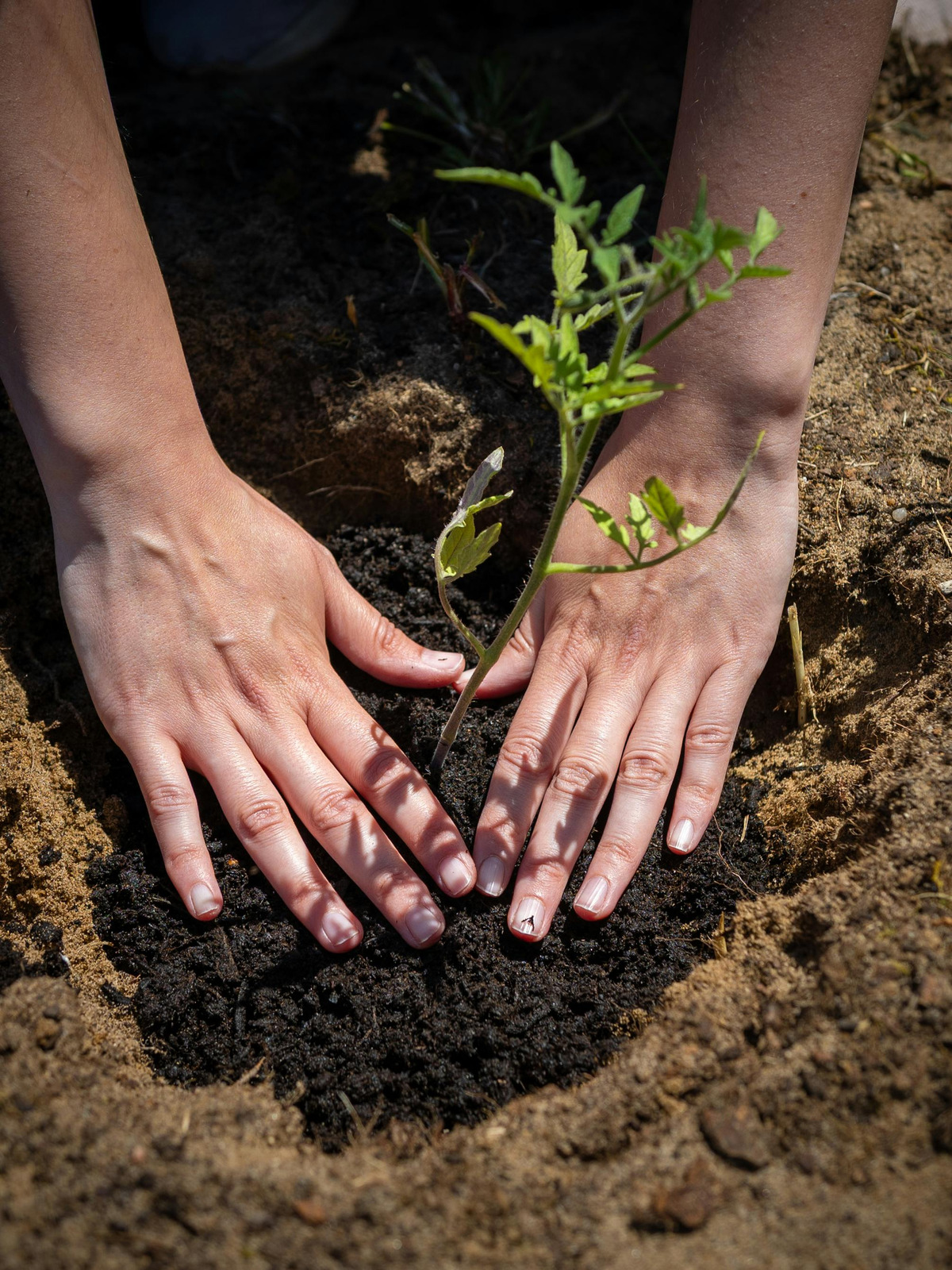 Planting for sustainability